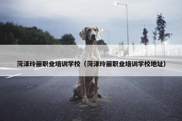 菏泽玲丽职业培训学校（菏泽玲丽职业培训学校地址）