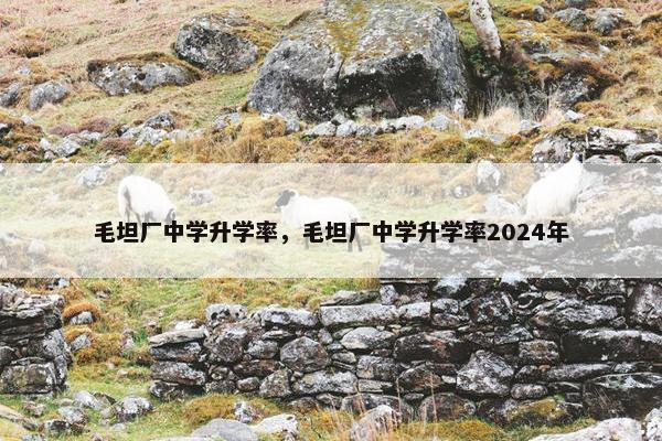 毛坦厂中学升学率，毛坦厂中学升学率2024年