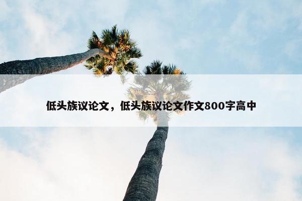低头族议论文，低头族议论文作文800字高中