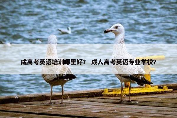 成高考英语培训哪里好？ 成人高考英语专业学校？
