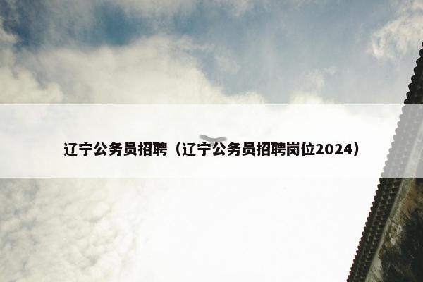 辽宁公务员招聘（辽宁公务员招聘岗位2024）