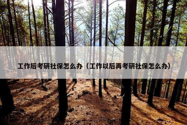 工作后考研社保怎么办（工作以后再考研社保怎么办）