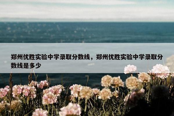 郑州优胜实验中学录取分数线，郑州优胜实验中学录取分数线是多少