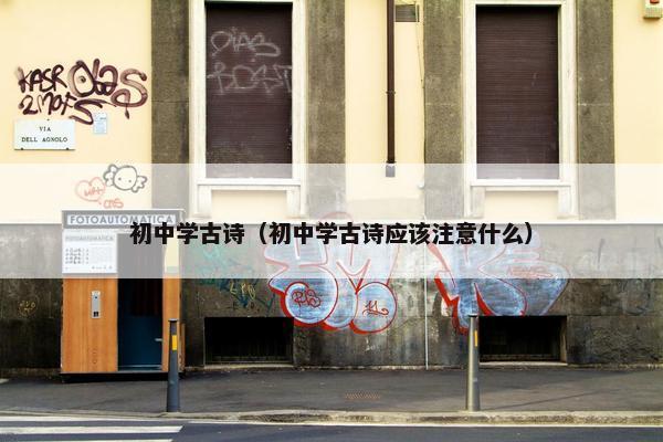 初中学古诗（初中学古诗应该注意什么）