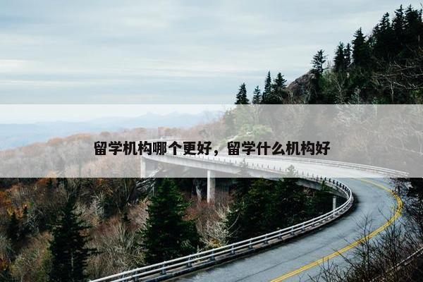 留学机构哪个更好，留学什么机构好