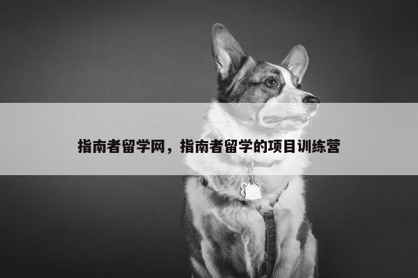 指南者留学网，指南者留学的项目训练营