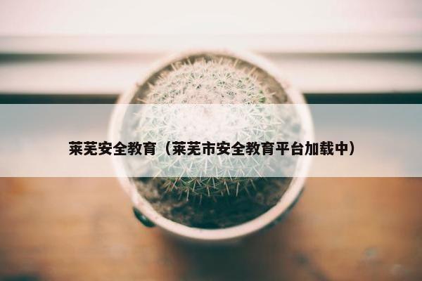 莱芜安全教育（莱芜市安全教育平台加载中）
