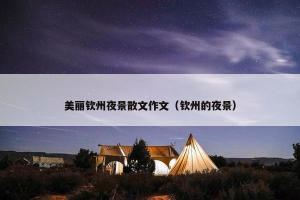 美丽钦州夜景散文作文（钦州的夜景）