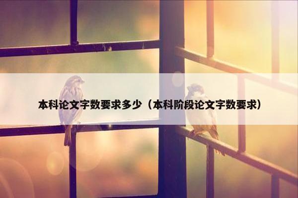 本科论文字数要求多少（本科阶段论文字数要求）