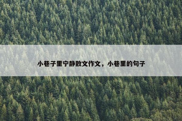 小巷子里宁静散文作文，小巷里的句子