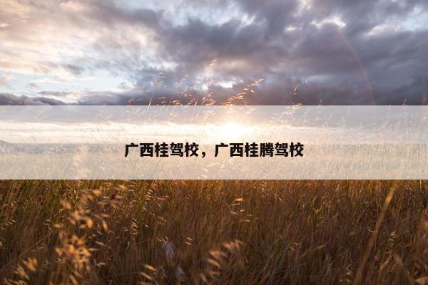 广西桂驾校，广西桂腾驾校