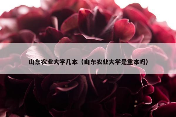 山东农业大学几本（山东农业大学是重本吗）