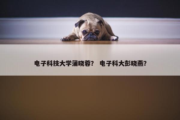 电子科技大学蒲晓蓉？ 电子科大彭晓燕？