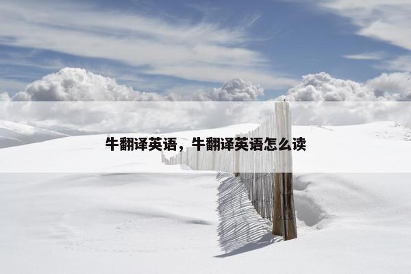 牛翻译英语，牛翻译英语怎么读