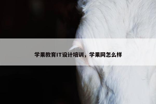 学果教育IT设计培训，学果网怎么样