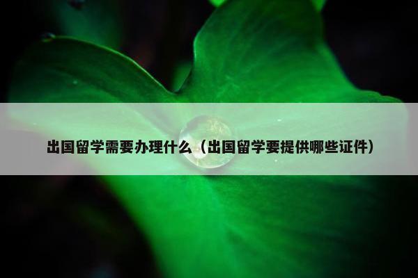出国留学需要办理什么（出国留学要提供哪些证件）