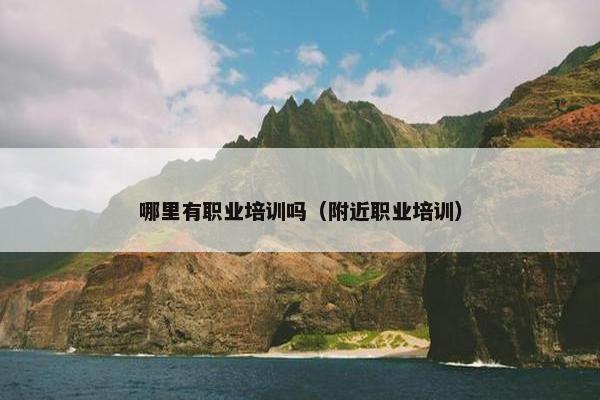 哪里有职业培训吗（附近职业培训）