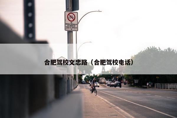 合肥驾校文忠路（合肥驾校电话）
