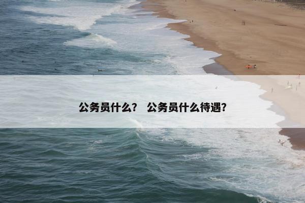 公务员什么？ 公务员什么待遇？