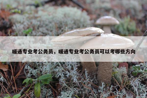暖通专业考公务员，暖通专业考公务员可以考哪些方向