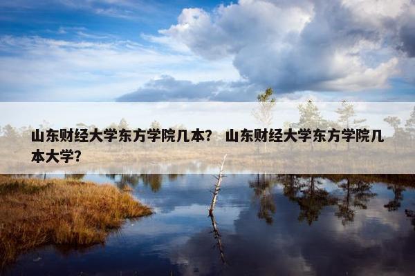 山东财经大学东方学院几本？ 山东财经大学东方学院几本大学？