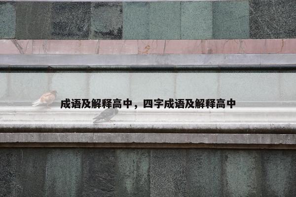 成语及解释高中，四字成语及解释高中