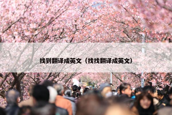 找到翻译成英文（找找翻译成英文）
