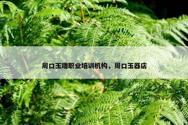 周口玉雕职业培训机构，周口玉器店