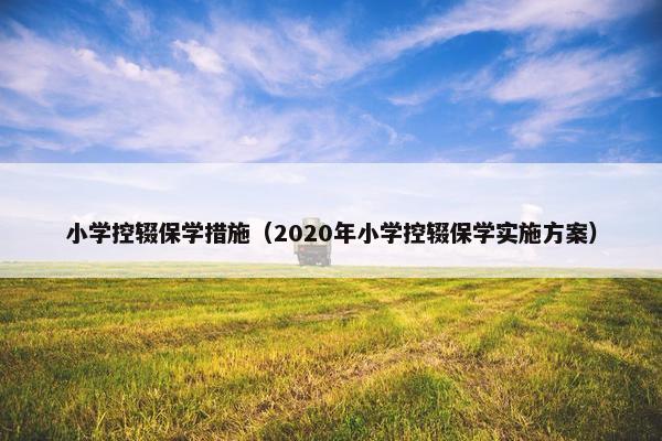 小学控辍保学措施（2020年小学控辍保学实施方案）