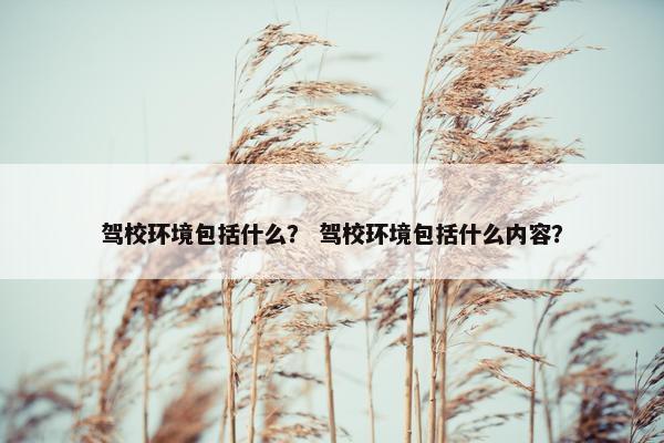 驾校环境包括什么？ 驾校环境包括什么内容？