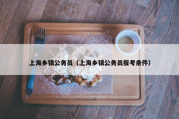 上海乡镇公务员（上海乡镇公务员报考条件）