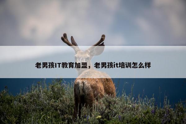 老男孩IT教育加盟，老男孩it培训怎么样