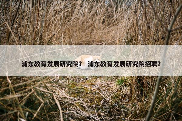 浦东教育发展研究院？ 浦东教育发展研究院招聘？