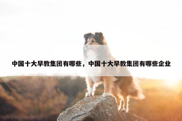 中国十大早教集团有哪些，中国十大早教集团有哪些企业
