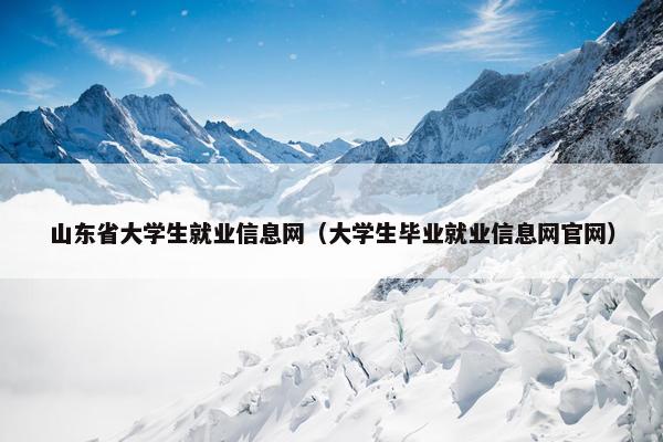 山东省大学生就业信息网（大学生毕业就业信息网官网）