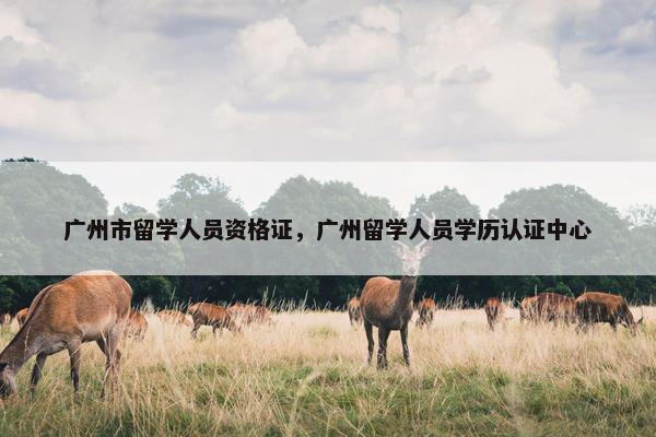 广州市留学人员资格证，广州留学人员学历认证中心