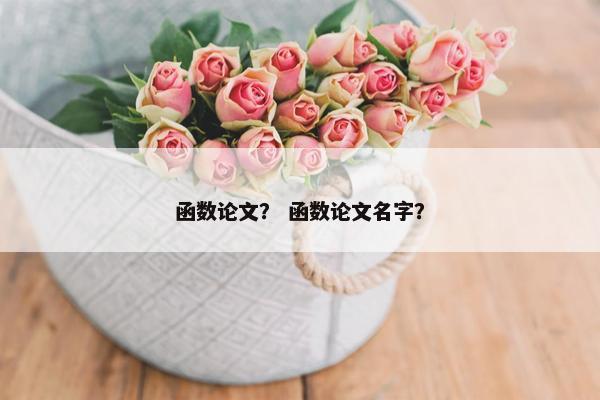 函数论文？ 函数论文名字？
