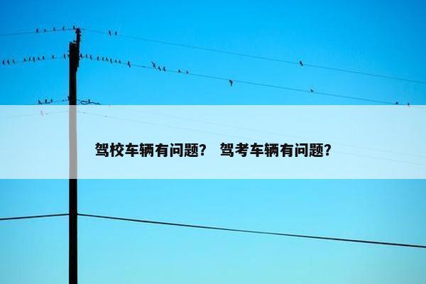 驾校车辆有问题？ 驾考车辆有问题？