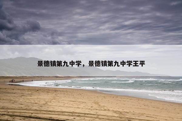 景德镇第九中学，景德镇第九中学王平