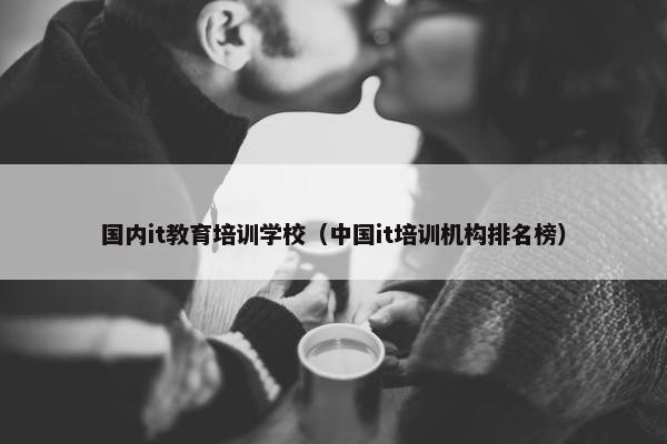 国内it教育培训学校（中国it培训机构排名榜）