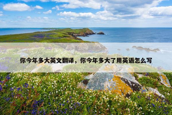 你今年多大英文翻译，你今年多大了用英语怎么写