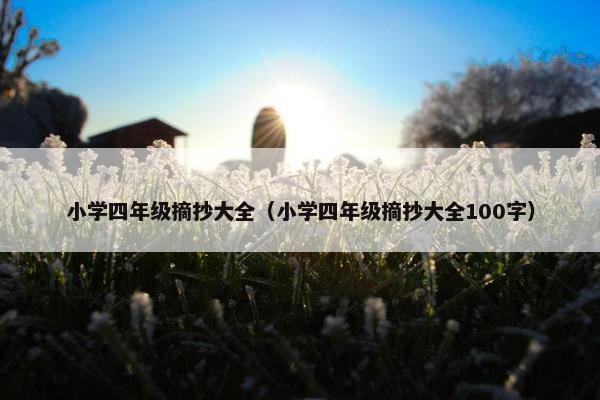 小学四年级摘抄大全（小学四年级摘抄大全100字）