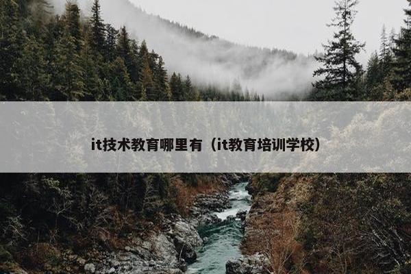 it技术教育哪里有（it教育培训学校）