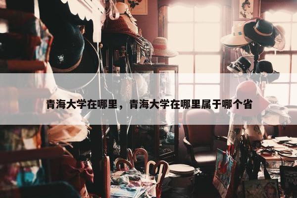 青海大学在哪里，青海大学在哪里属于哪个省