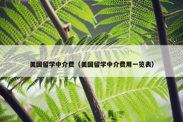 美国留学中介费（美国留学中介费用一览表）