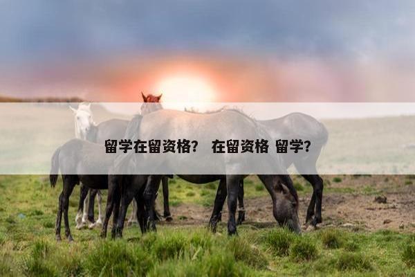 留学在留资格？ 在留资格 留学？