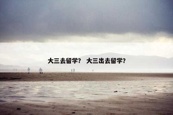大三去留学？ 大三出去留学？