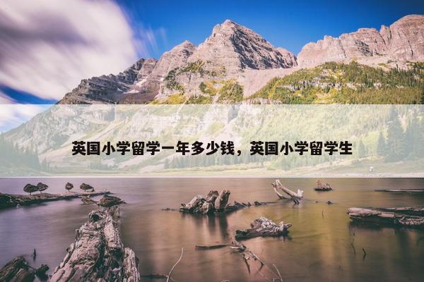 英国小学留学一年多少钱，英国小学留学生