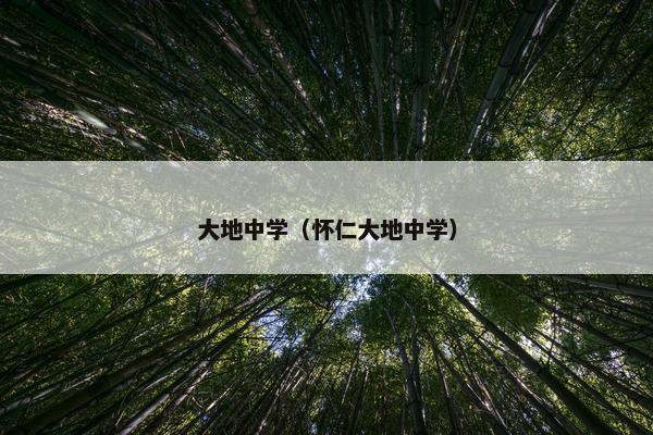 大地中学（怀仁大地中学）