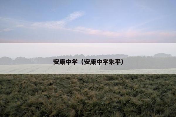 安康中学（安康中学朱平）